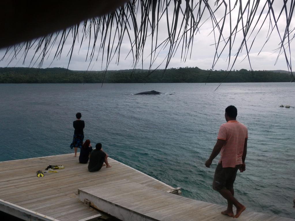 Tongan Beach Resort Utungake Luaran gambar